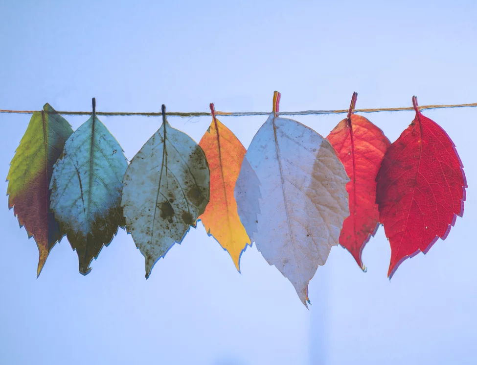 Image of Breakfast Briefing | September 2025